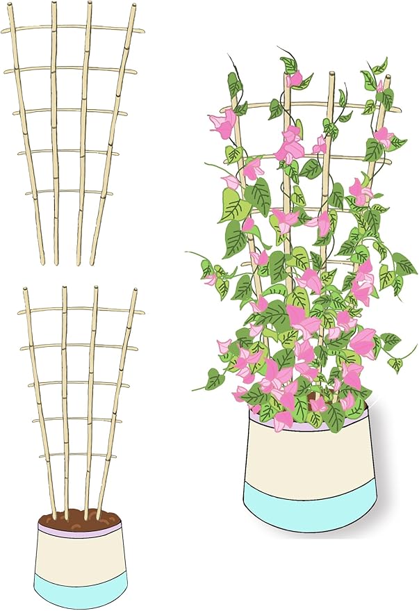 Natural Bamboo Trellis, Fan-Shaped Plant Support Trellis
