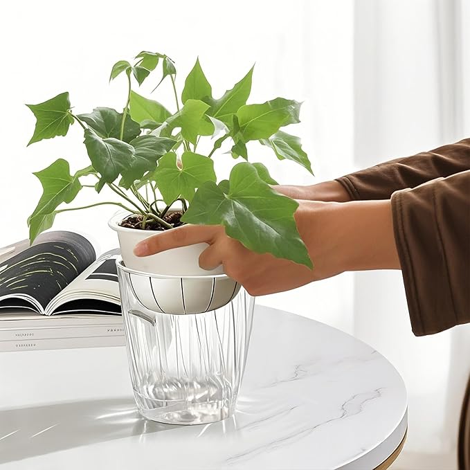 Self Watering Planters