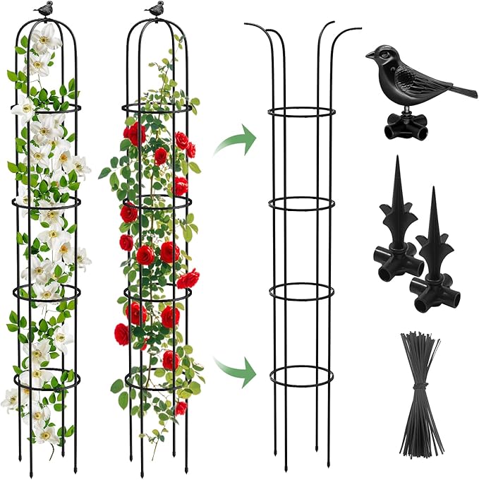 6.2ft Garden Obelisk Trellis for Climbing Plants Rustproof Metal Pipe