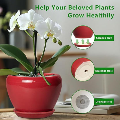 10 Inch Plant Pot