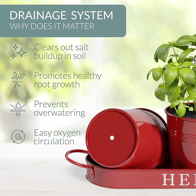 Barnyard Designs Indoor Herb Garden Planter Set