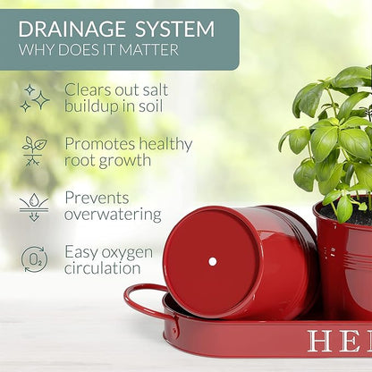 Barnyard Designs Indoor Herb Garden Planter Set