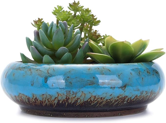 VanEnjoy 7.3 inch Round Large Shallow Succulent Ceramic Glazed Planter Pots