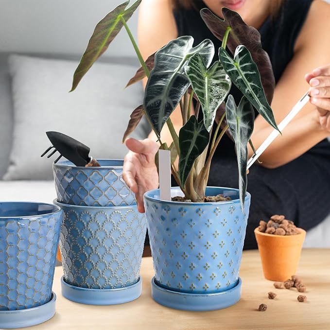 EFISPSS Plant Pots, 5 Inch Pots