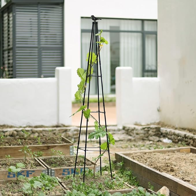 Cucumber Trellis, 2 Pack