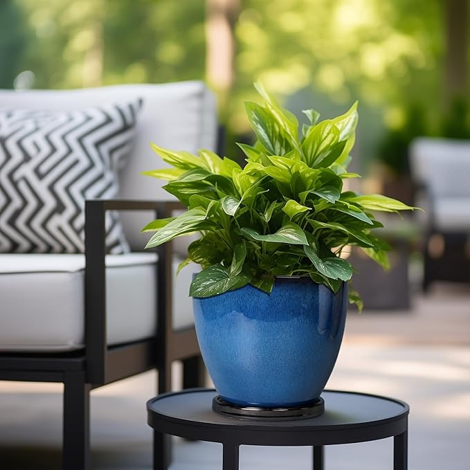 8 Inch Planter - Ceramic Plant Pot