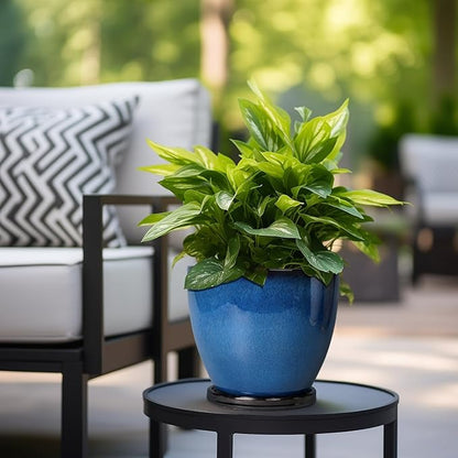 8 Inch Planter - Ceramic Plant Pot