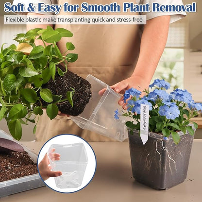5.5 Inch Clear Square Nursery Pots