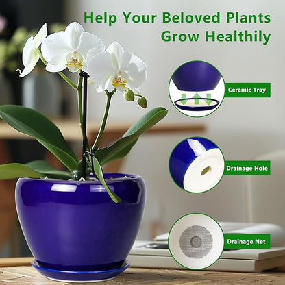 Ceramic Plant Pot 8 Inch