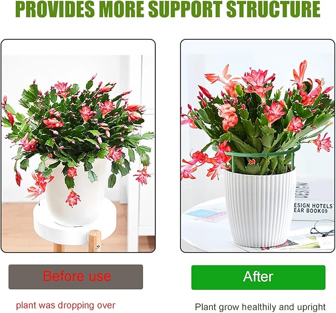 36 Pack Plant Support Stakes for Indoor Plants, Half Round Plant Stakes Ring