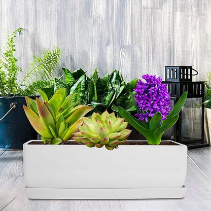 Vencer 14 Inch Rectangular Modern Minimalist Ceramic Succulent Planter Pot