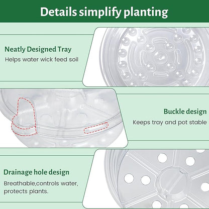 12 Pack 6.5 Inch Clear Self Watering Plant Pots