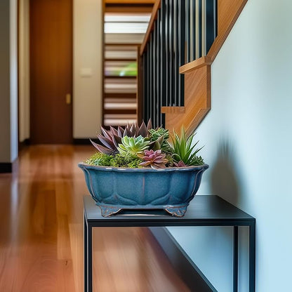 Bonsai Tree Pot