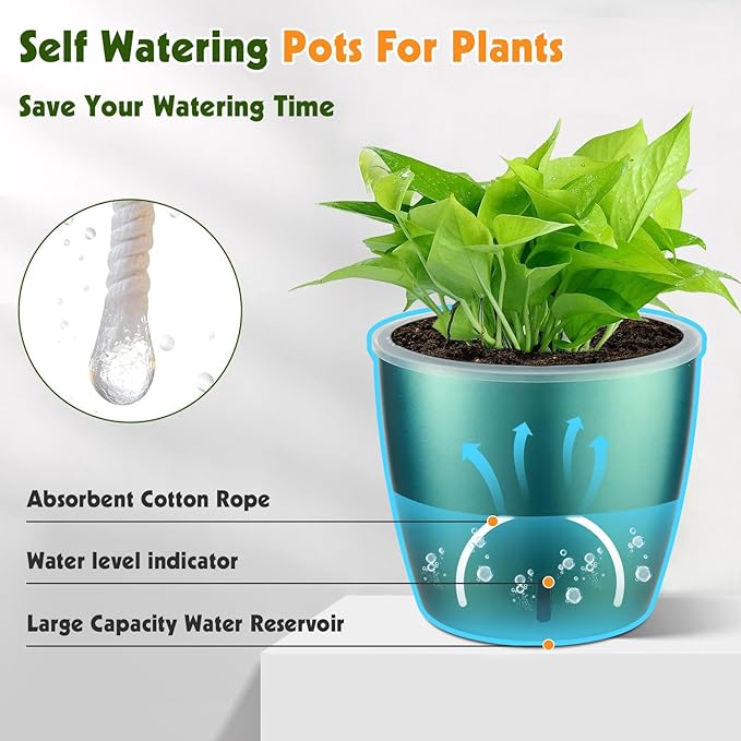 Self-Watering Pots for Indoor Plants, Small African Violet Pots