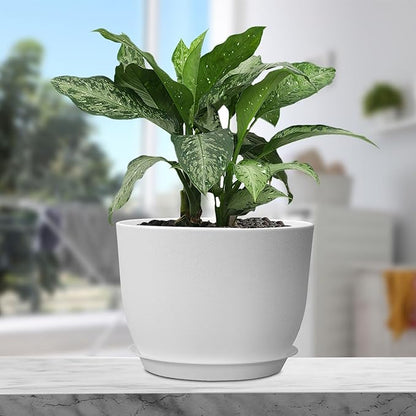 12 inch Large Plant Pots, Plastic Planters