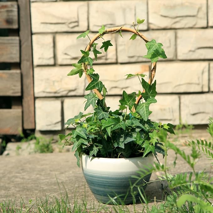 3Pack Bamboo Trellis 16 Inch Round Shaped Small Plant Trellis