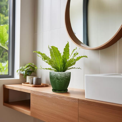 6 Inch Plant Pot