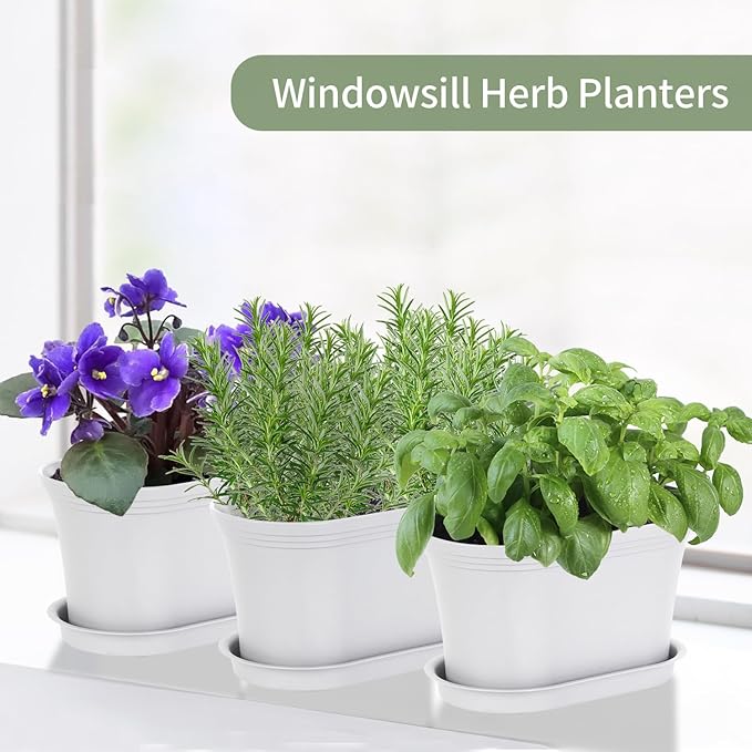 Windowsill Garden Pots, Succulents, African Violet
