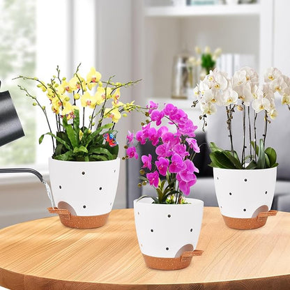 6 Inch Orchid Pots with Holes, 2 Pack Self Watering Planters