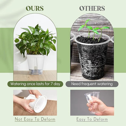 Self Watering Pots for Indoor Plants