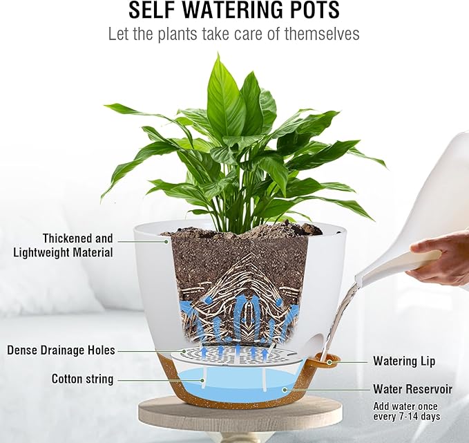 10 inch Self Watering Hanging Planters, 2 Pack Hanging Baskets