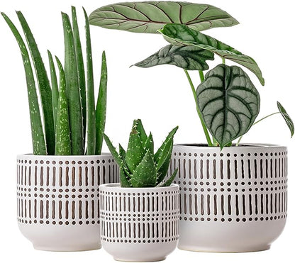 Docrin 3-Pack Ceramic Planters Set