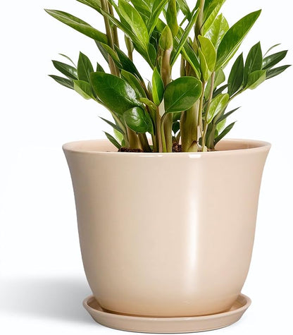 Ceramic Planter
