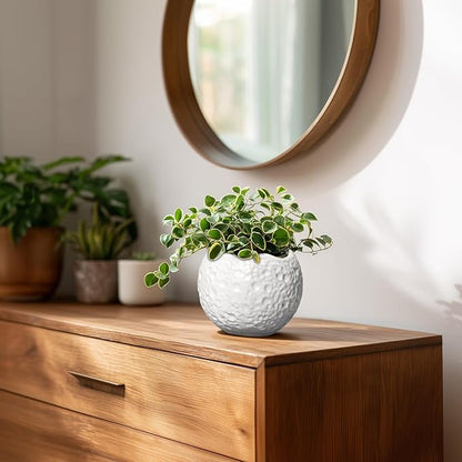 4 inch Plant Pots