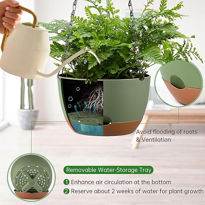 Hanging Planters for Indoor Plants