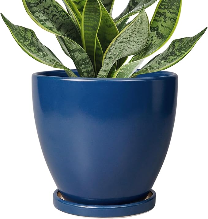6.8 Inch Plant Pot