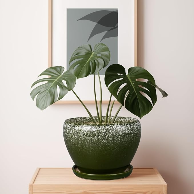 10 Inch Planter Pot