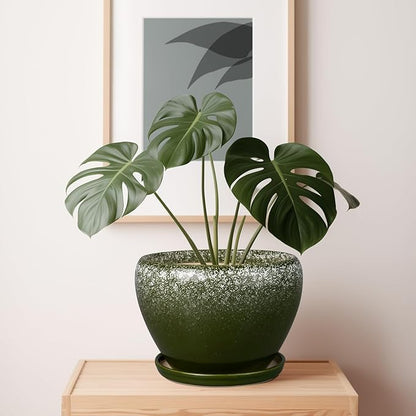10 Inch Planter Pot
