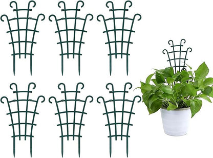 Indoor Small Trellis