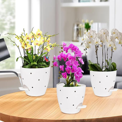 6 Inch Orchid Pots with Holes, 2 Pack Self Watering Planters