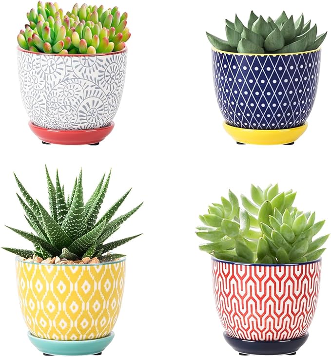 Selamica Ceramic Succulent Pots