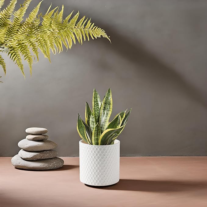 Docrin Ceramic Planters Indoor, 8 Inch Plant Pot