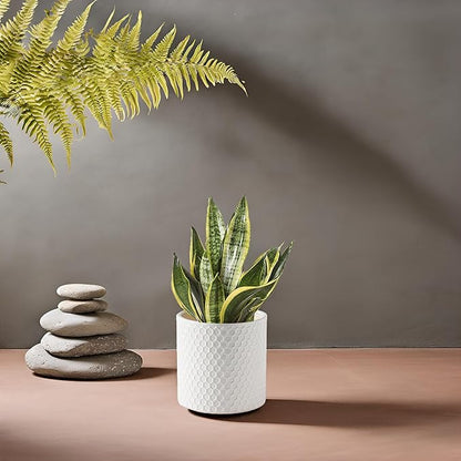 Docrin Ceramic Planters Indoor, 8 Inch Plant Pot