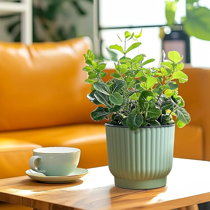 T4U 6 Inch Self Watering Pots for Indoor Plants, 6 Pack Plant Pots, Self