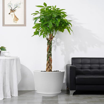 12inch Large Plant Pot, Modern Plastic Planter