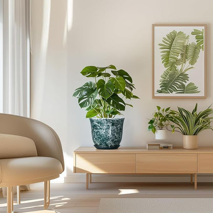 8 Inch Plant Pot
