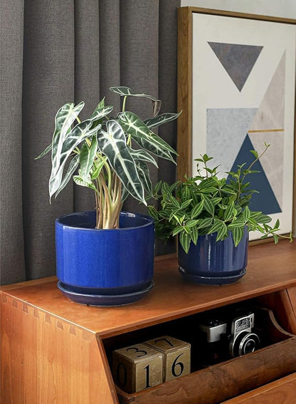 LE TAUCI Ceramic Plant Pots, 4.3+5.3+6.8 inch, Planters