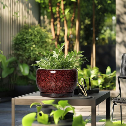 SQOWL Ceramic Flower Pots