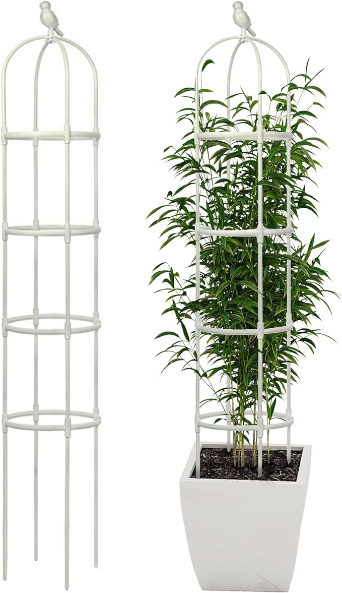 Garden Trellis for Climbing Plants, Rustproof Metal Pipe