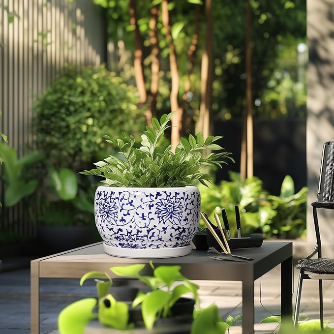 SQOWL Ceramic Pots for Plants