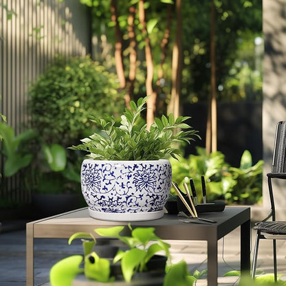 SQOWL Ceramic Pots for Plants
