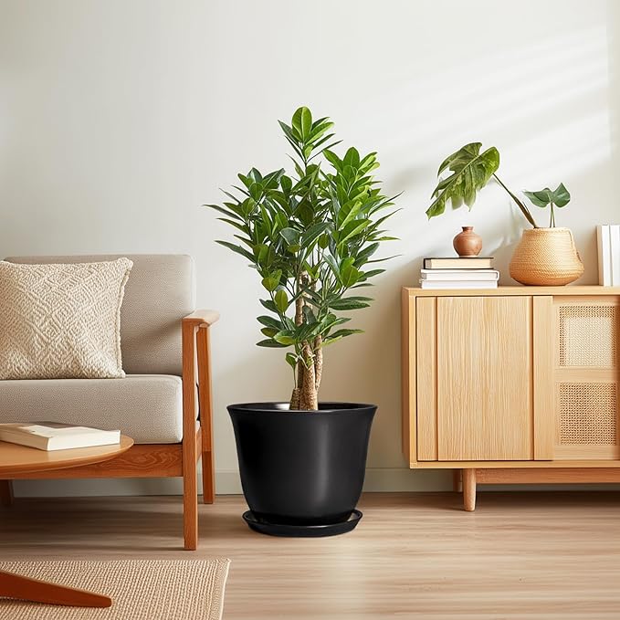 Ceramic Plant Pots