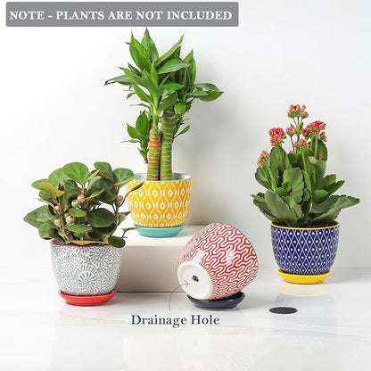 Selamica Ceramic Succulent Pots