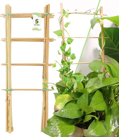Avalution 5 Pack Bamboo Trellis