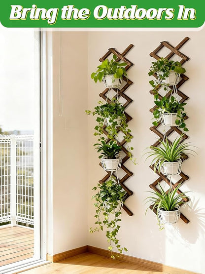 Pack of 4 Extra Thick Wooden Wall Trellis