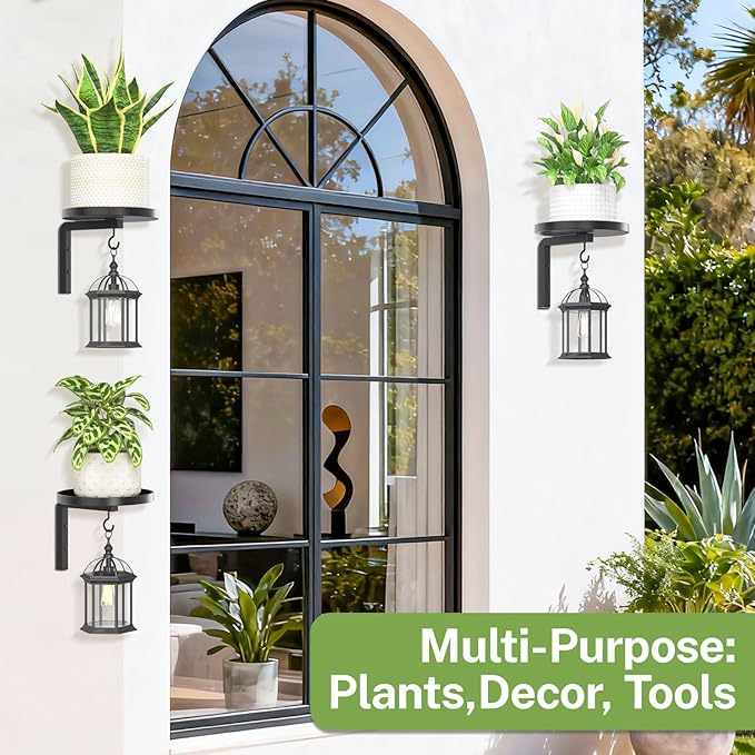 iDavosic.ly Wall Plant Holder Set of 3